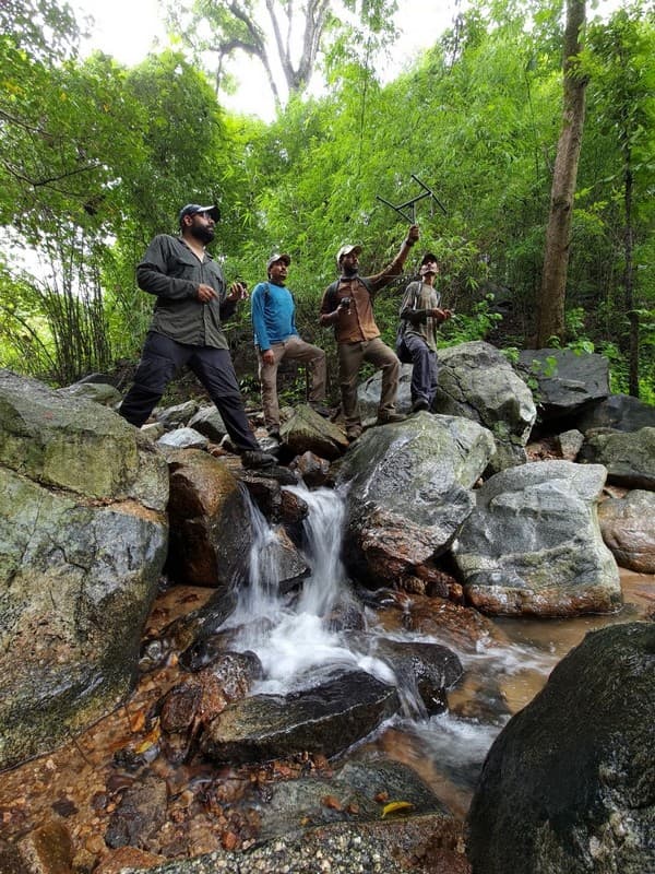 WCT research team monitoring a released Indian pangolin in the field.