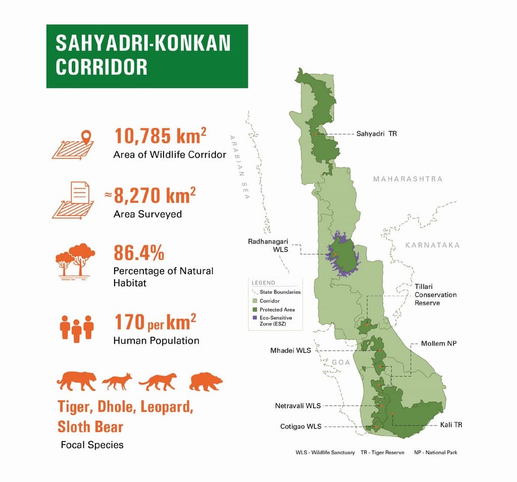 Western Ghats: Improving Large Carnivore Connectivity