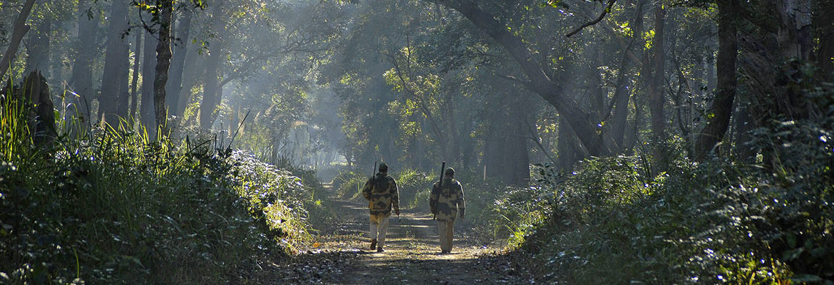 Reinforcing Forest Protection