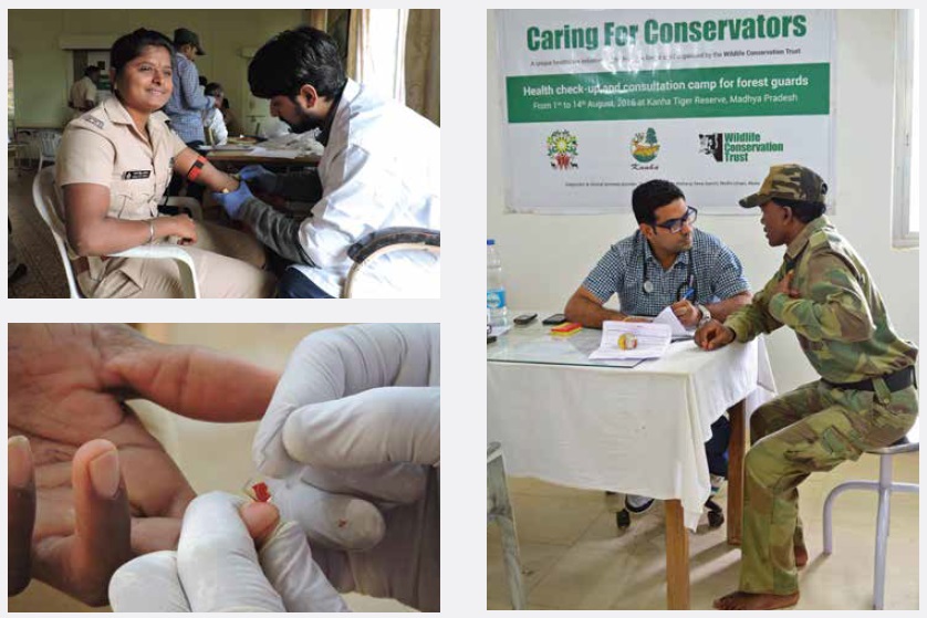 Caring for Conservators: Preventive Healthcare for Forest Staff