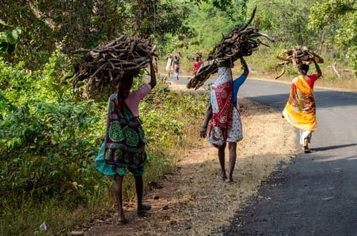 Women have to walk several kilometres to bring firewood from the forest. Apart from the physical hard work, there is always a possibility of encountering a wild animal