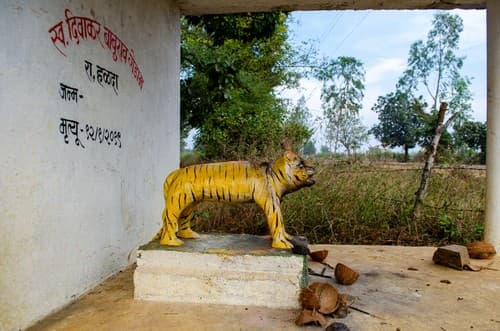 Memorial of a man killed by a tiger.