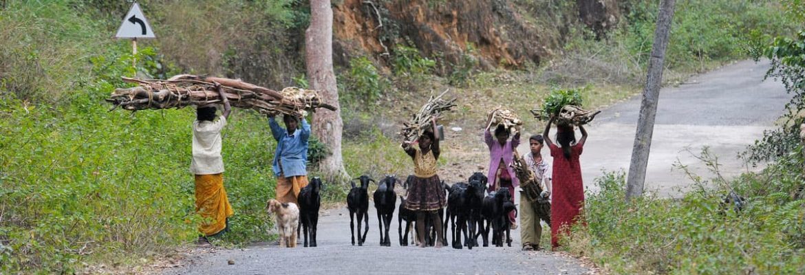 The Conservation Behaviour department was set up to gain insights on conservation action through the understanding of social drivers of human behaviour, that have a significant bearing on the natural environment.