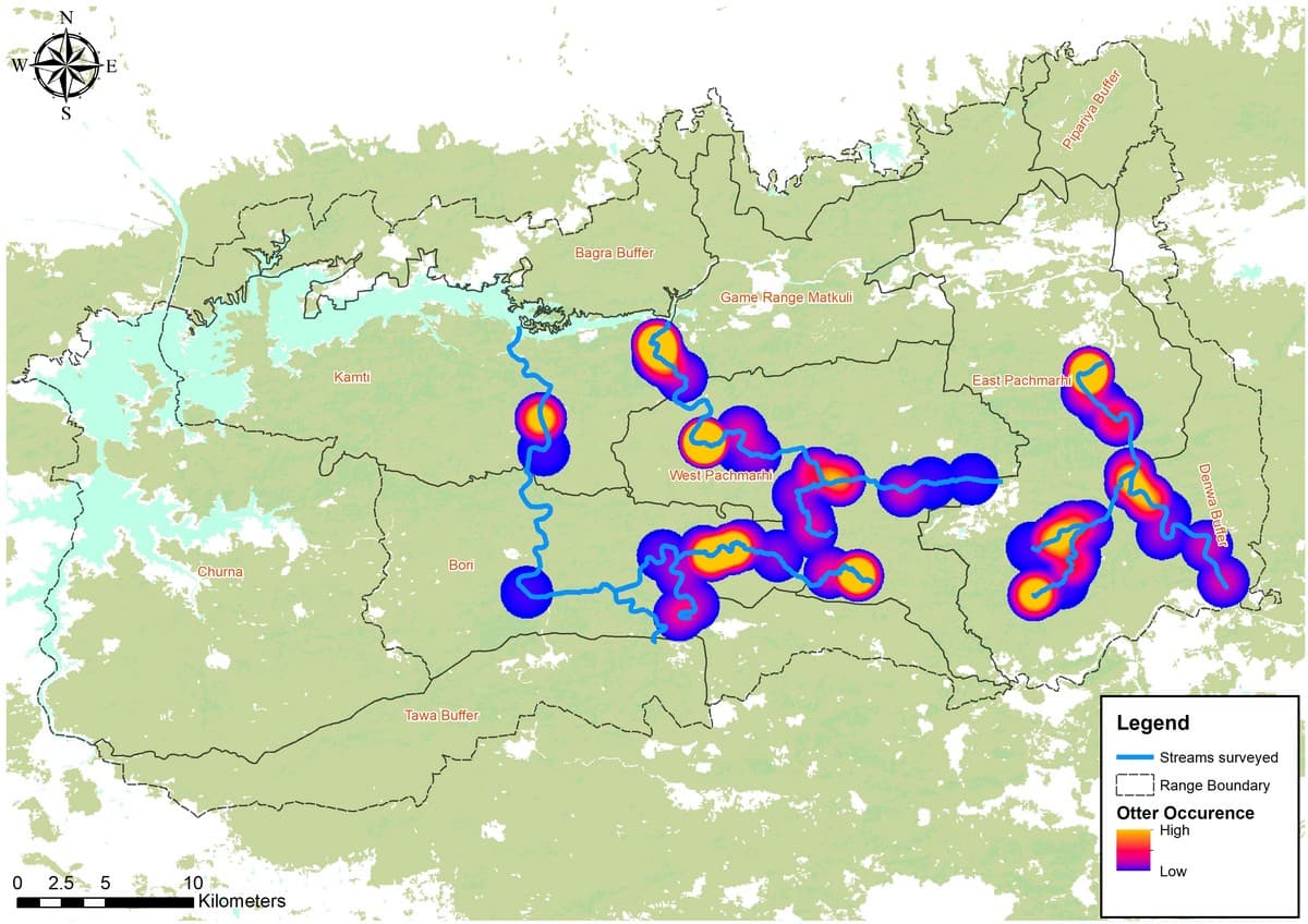 The WCT’s survey of select rivers in the Satpura Tiger Reserve helped understand the near threatened Eurasian otter’s occurrence in the region.