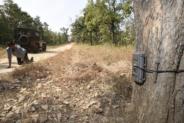 A WCT field staff member tests one of the many camera traps installed systematically across various critical forest blocks in the central Indian landscape to study tiger presence and distribution outside Protected Areas