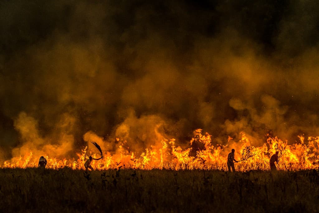 Forest watchers battle a raging fire without firefighting equipment in Madhya Pradesh’s Kanha Tiger Reserve. This invisible, yet grossly under-supported task force is key to India’s ability to survive the climate catastrophe hanging over us like a sword of Damocles. If we allow them to become demotivated, it will not be our borders from where existential threats will jump out at us, the threat will come from within. Photo: Nilesh Shah/Sanctuary Photolibrary