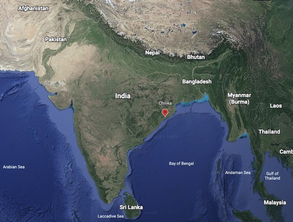 Chilika, in the eastern state of Odisha, is one of the largest brackish water lagoons in Asia. ©Google Earth