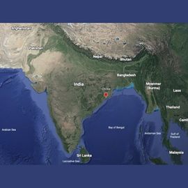 A Coastal Honey Badger Population Discovered in The Chilika Lagoon