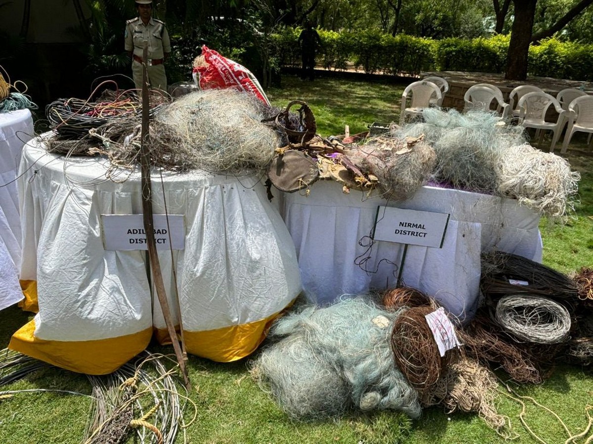 Telangana Forest Department officials discovered and confiscated a snare trap during a recent patrol of the forest. Such traps, often concealed in strategic locations, are difficult to detect, as they are placed in areas rarely visited by patrol teams.