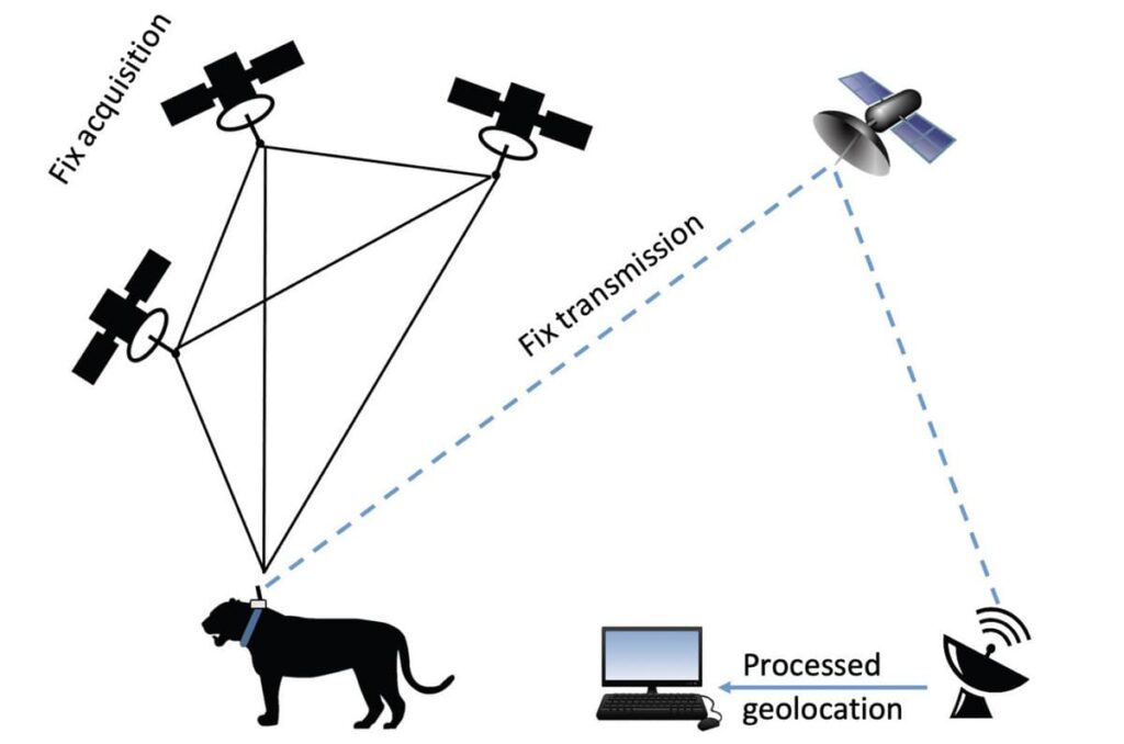 A schematic diagram explaining the process of GPS fix acquisition and transmission to the end user