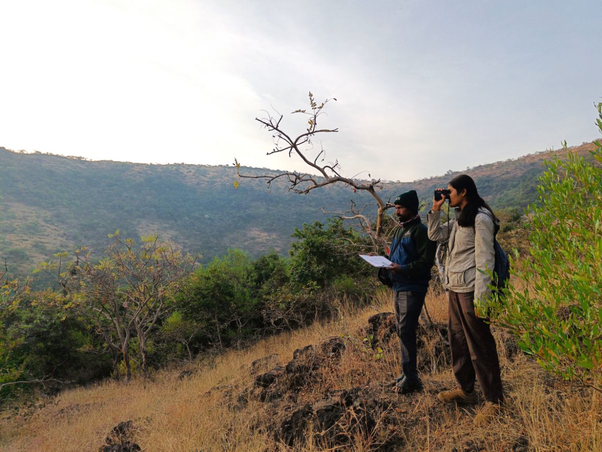 The Sagareshwar Story – an experiment in rewilding