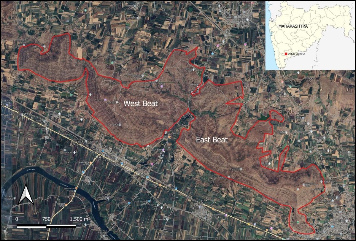 The Sagareshwar Story – an experiment in rewilding
