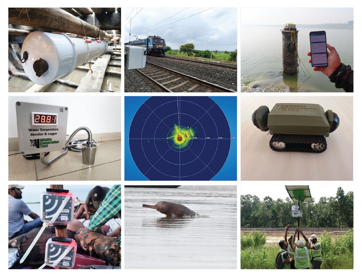 The WildTech (Technology for Wildlife Conservation) project emerged organically from the need felt for technological innovation and design across existing programmes at WCT that seeks to harness the latest, cutting-edge global advances in electronics, telecommunication, computation, and their translation to open-source and user-friendly technological innovations to enable greater impact for conservation of wildlife and ecosystems.