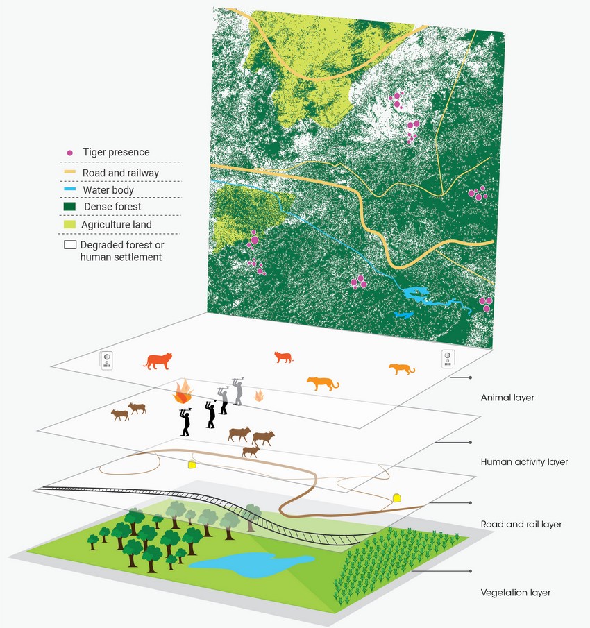 Multiple layers of data are integrated using GIS software to create a composite, landscape-level perspective