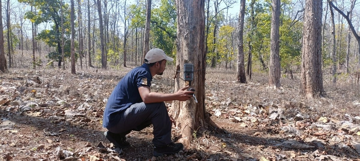 WCT conducts camera-trap based surveys in critical wildlife corridors to identify high priority sites where mitigation structures are required.