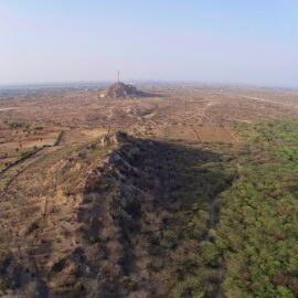‘Not All Green Is Good’ - The dry landscapes of certain Indian states such as Rajasthan and Gujarat have come to look different over the past many decades. Some parts look greener and denser, even when they are not supposed to, ecologically speaking. This greenery hides a problem – one caused by a very controversial species: Prosopis juliflora, an invasive Central-South American plant.