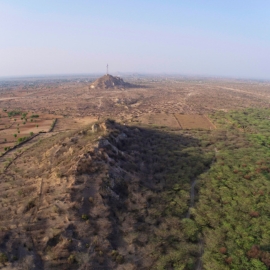 ‘Not All Green Is Good’ - The dry landscapes of certain Indian states such as Rajasthan and Gujarat have come to look different over the past many decades. Some parts look greener and denser, even when they are not supposed to, ecologically speaking. This greenery hides a problem – one caused by a very controversial species: Prosopis juliflora, an invasive Central-South American plant.