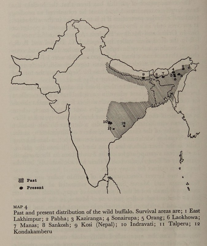 Estimated distribution range of wild buffaloes in India in 1969. Source: Twilight of India’s Wildlife (1969) by Balakrishna Seshadri. Borders neither verified, nor authenticated.